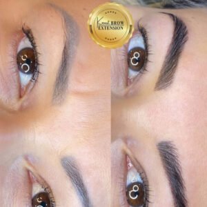 Curso Método Brow Extension Pro Keila Knust